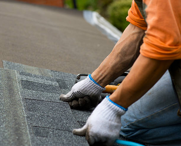 Best Gutter Installation and Roofing  in Amity Gardens, PA