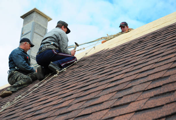 Best Storm Damage Roof Repair  in Amity Gardens, PA