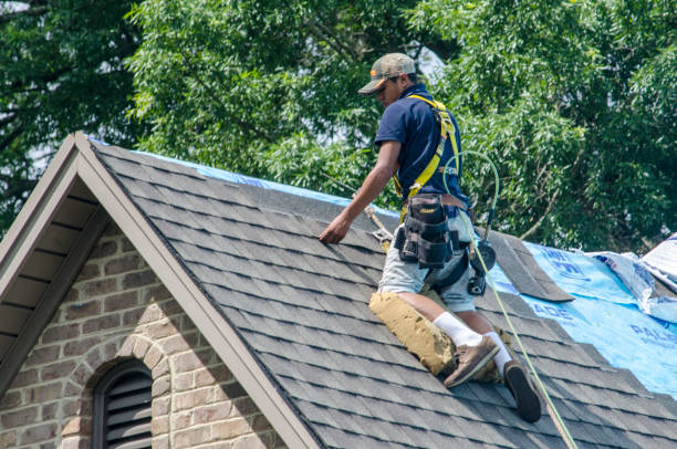 Best Local Roofing Companies  in Amity Gardens, PA